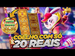 7rabbit.com plataforma